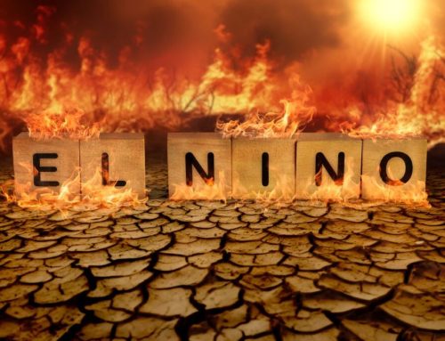 Are El Niño’s becoming stronger?
