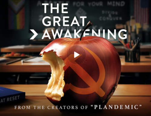 Plandemic 3 – The Great Awakening